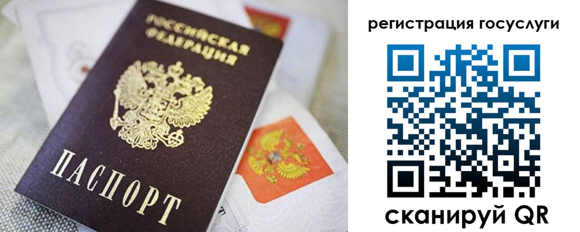 прописка паспорт в Дубне