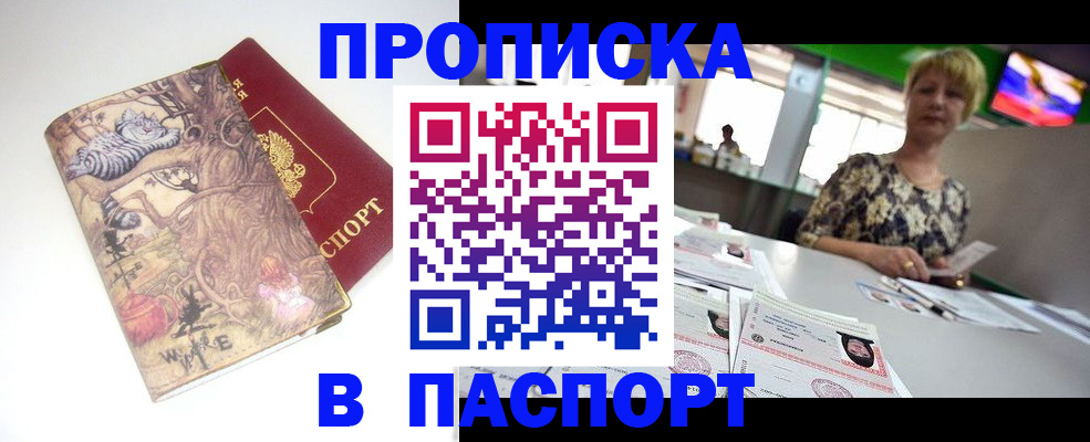 прописка гарантия в Дубне